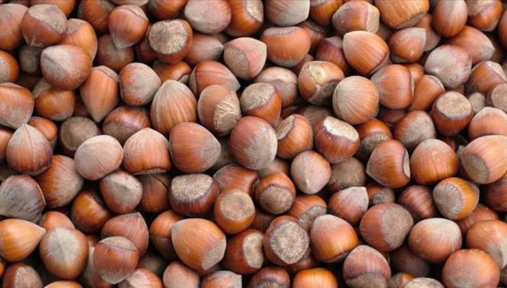 DP’li Enginyurt: Fındık taban fiyatı en az 100 lira olarak açıklanmalı