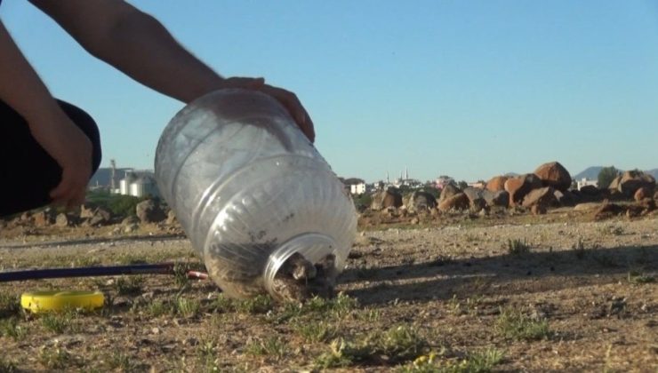 Havalar ısınınca ortaya çıktılar: Uzmanından ‘Dikkatli olun’ uyarısı