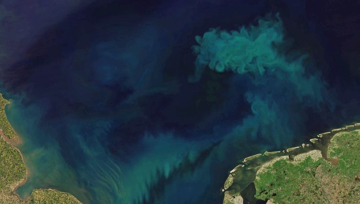 İklim değişikliği yüzünden okyanusların rengi değişiyor