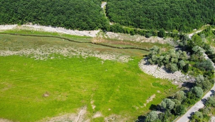 İstanbul’un suyunu sağlayan baraj kurudu; otlarla kaplanıp, yeşil renge büründü