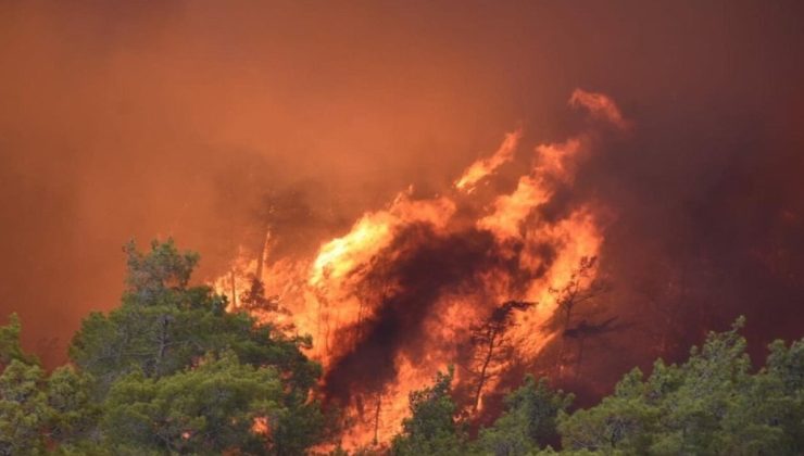 İzmir Urla’da korkutan yangın