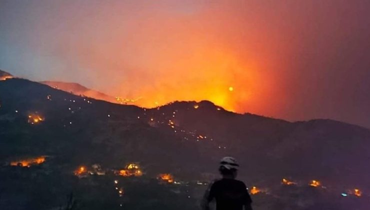 İzmir ve Manisa’da 9 orman ve çalı yangını