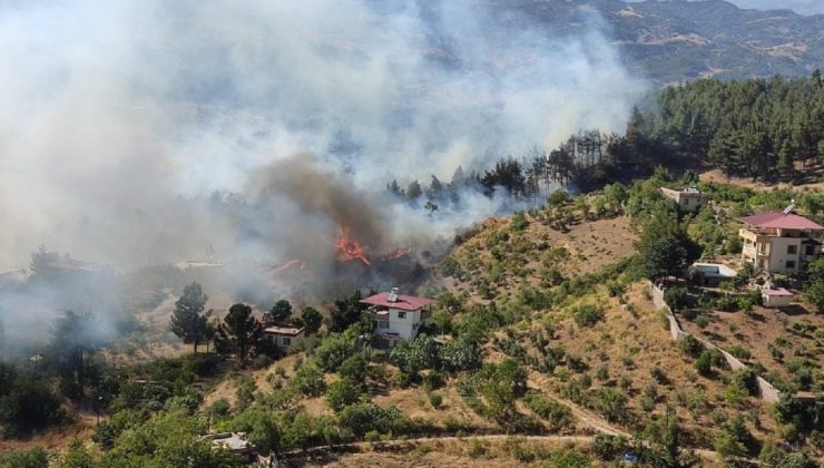 Kahramanmaraş’ta orman yangını