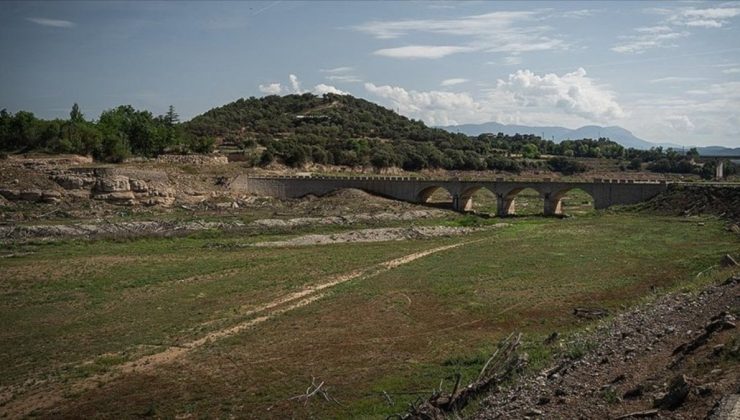 Küresel ısınma gıda enflasyonunu her yıl yüzde 3 artırabilir