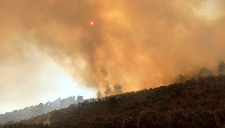 Milas’ta 160 hektar alan küle dönmüştü… Nedeni belli oldu