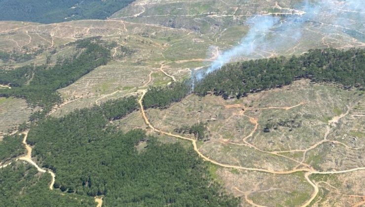 Muğla’da orman yangını