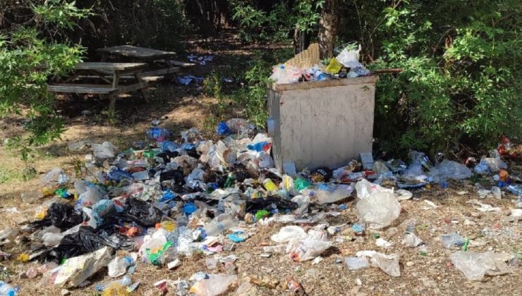 Piknikçiler akın etti, Milli Park çöplüğe döndü