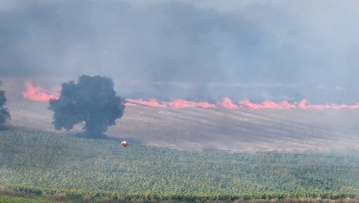 Tarlada başlayan yangın ormanlık alana ilerliyor