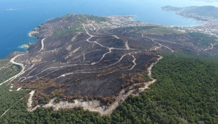 Temmuzda 295 orman yangını çıktı, 3 bin 160 hektar alan zarar gördü