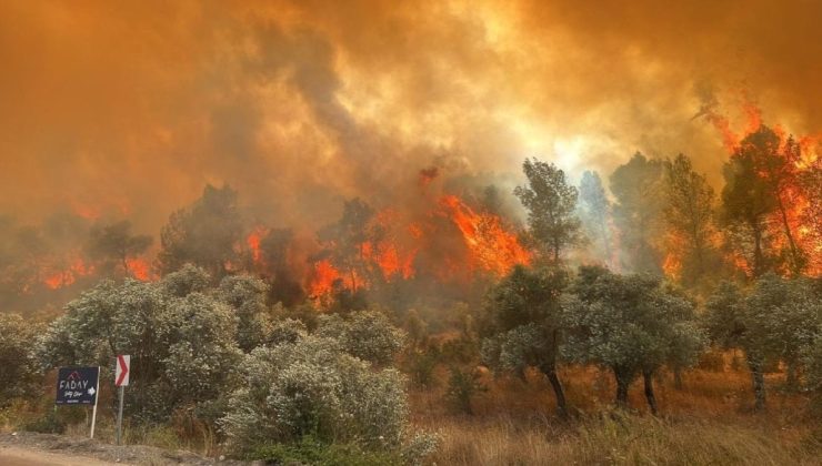 Yangınlarla ilgili şüpheliler tespit edildi