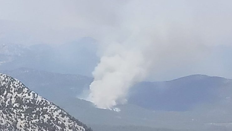 Antalya’da orman yangını 