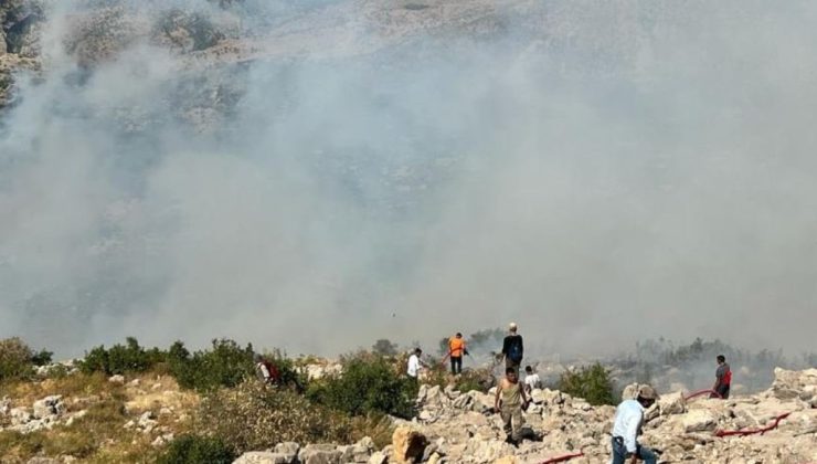 Diyarbakır’da orman yangını çıktı