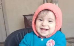 Ehliyetsiz sürücü Berçem’i hayattan koparttı