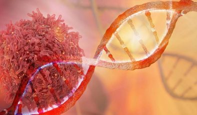 Genetik mühendislik: Kanser hücrelerini tespit etmek için bakteriler geliştirildi