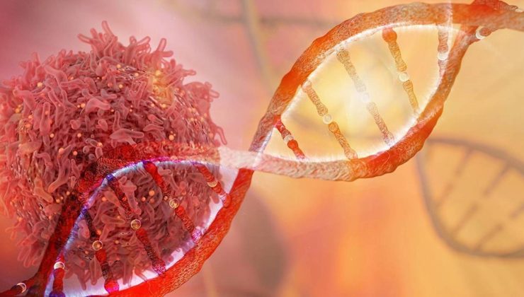 Genetik mühendislik: Kanser hücrelerini tespit etmek için bakteriler geliştirildi