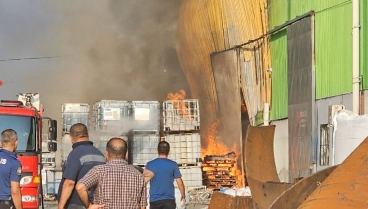 Geri dönüşüm fabrikasındaki yangın çevreye sıçradı