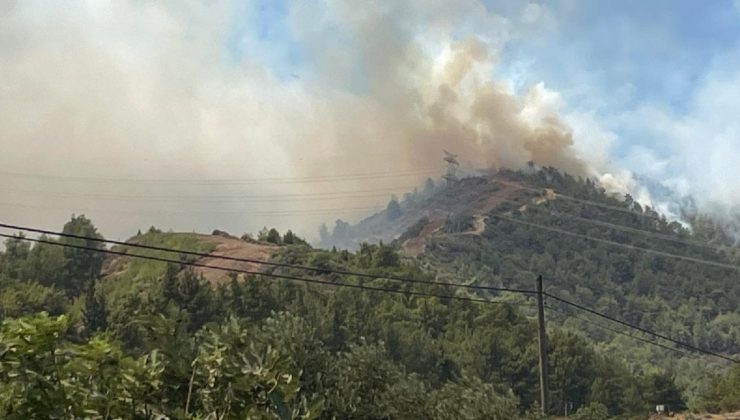 Hatay’da orman yangını çıktı