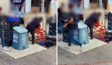 İstanbul Ticaret İl Müdürlüğü’nden çöpe dökülen domateslere ilişkin açıklama
