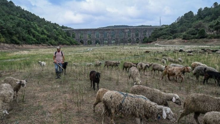 İstanbul’a su sağlayan 10 barajın 6’sında korkutan oran