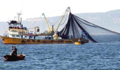 İstanbullu balıkçılar hamsi, istavrit ve çinekop bolluğu bekliyor