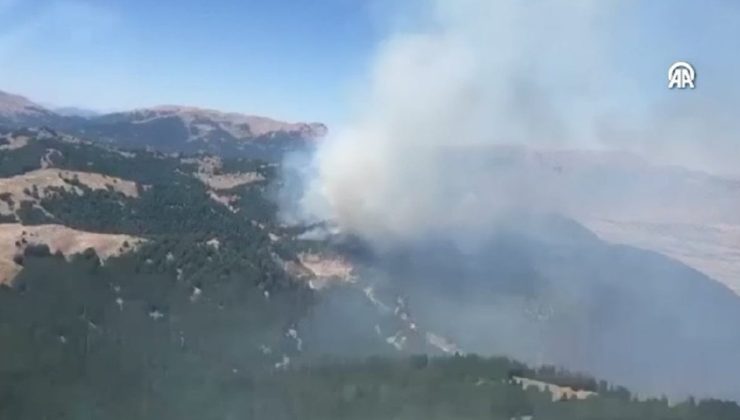 Kahramanmaraş’ta orman yangını