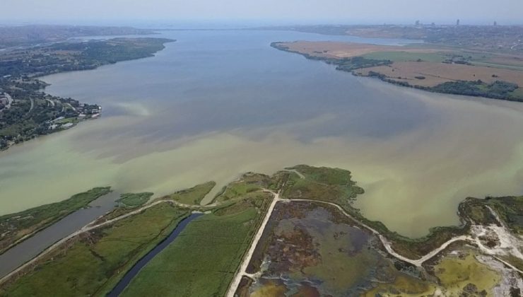 Küçükçekmece Gölü için kritik uyarı: Girilmemeli hatta balıkçılık yasaklanmalı