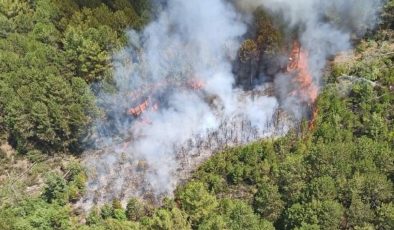 Muğla’da orman yangını çıktı