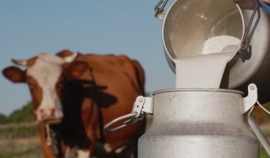Süt üretimi haziranda yüzde 11,2 azaldı