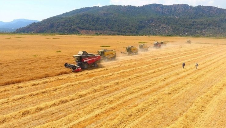 Tarımda üretici enflasyonu temmuzda sert yükseldi