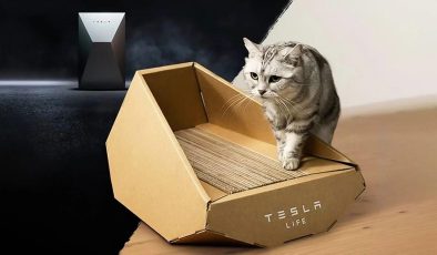 Tesla, Cybertruck kedi yatağının tasarımını çalmakla suçlanıyor