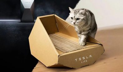 Tesla’dan tuhaf bir ürün daha: Cybertruck kedi yatağı