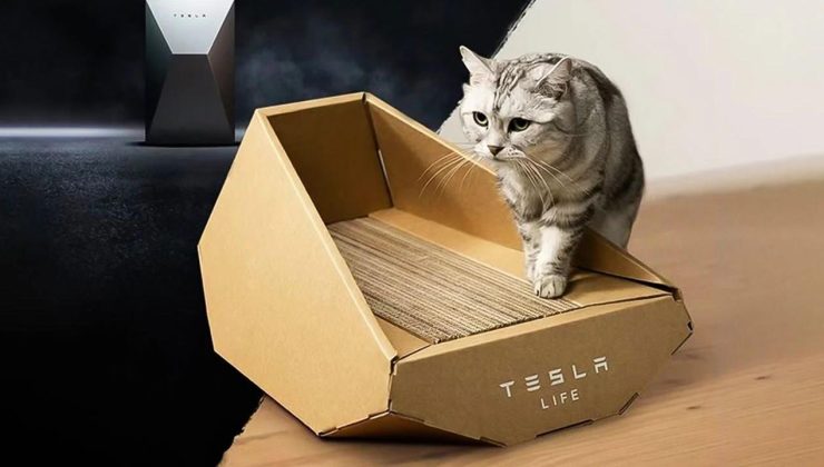 Tesla’dan tuhaf bir ürün daha: Cybertruck kedi yatağı