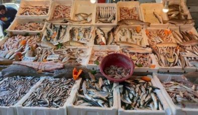 Akdeniz’de av yasağı kalktı, balık fiyatları yüzde 80 düştü