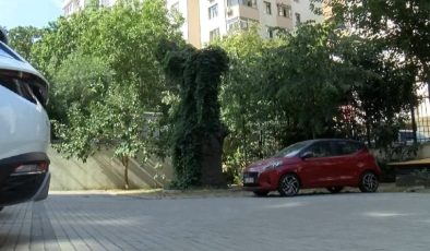 Kadıköy’de aracın üstüne devrilen ağaç 51 daireyi icralık etti 