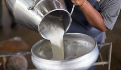 Süt üretimi temmuzda yüzde 19,8 azaldı