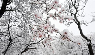 Meteoroloji uzmanları açıkladı: El Nino ve La Nina aynı anda etkili olmuyor