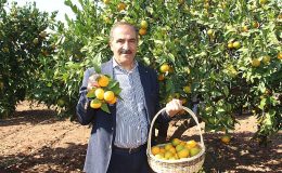 Narenciye sektörü KKTC'de görülen yeşillenme hastalığının Türkiye'ye sıçramaması için topyekûn mücadele istiyor